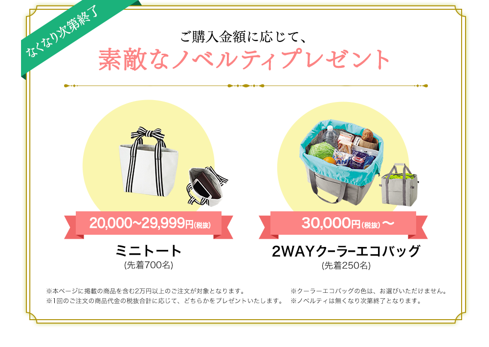 キャンペーン