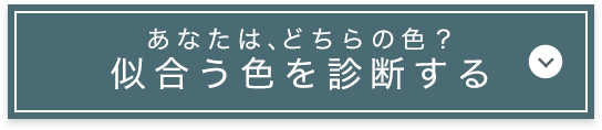 あなたは、どちらの色？似合う色を診断する