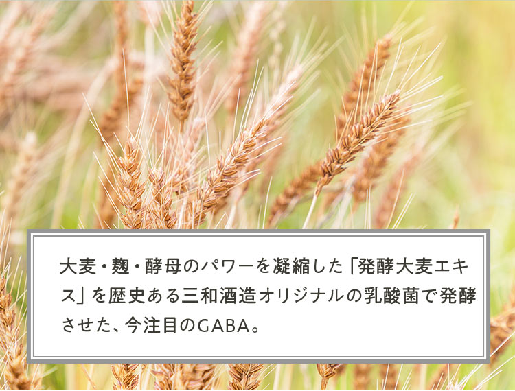 発酵大麦エキス