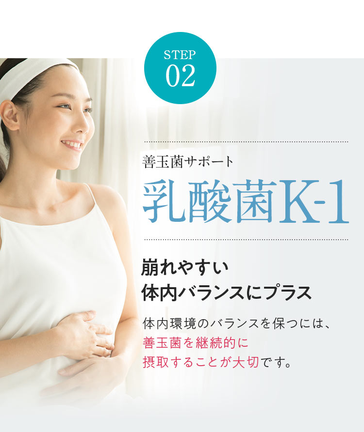 善玉菌サポート 乳酸菌K-1