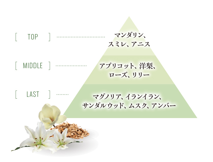 マグノリアガーデン香りのピラミッド